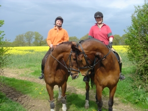 Horses provide equal access